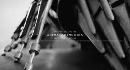  anima (ex) musica © Nicolas Joubard