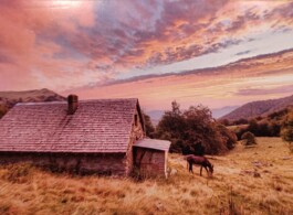 Les Productions Libres