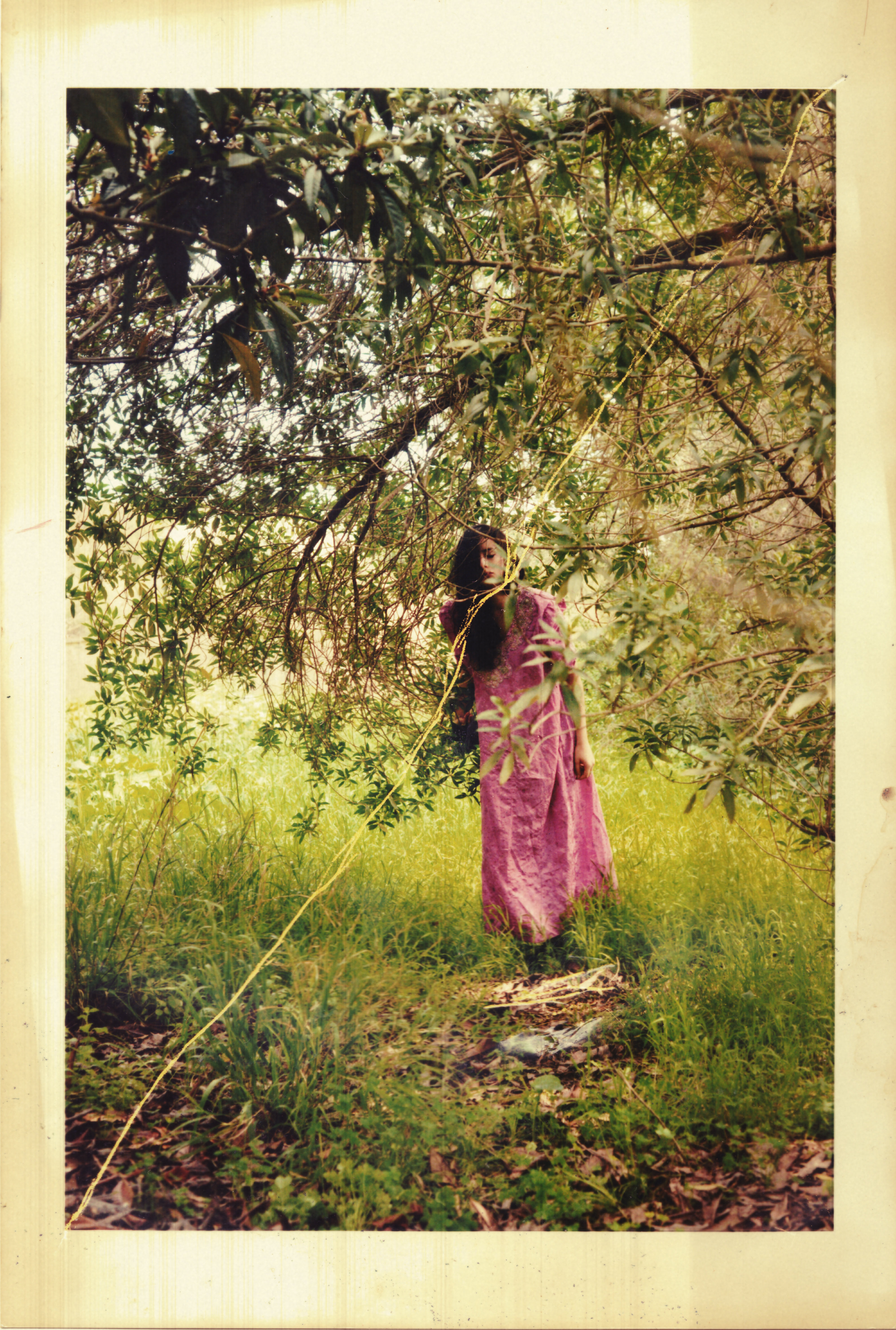 Les Productions Libres