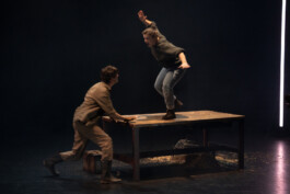 Les Productions Libres