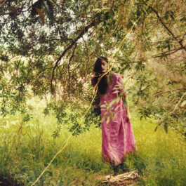 Les Productions Libres