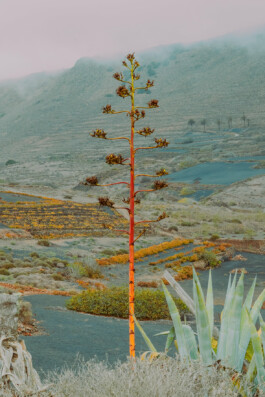  Photographie de Létizia Le Fur